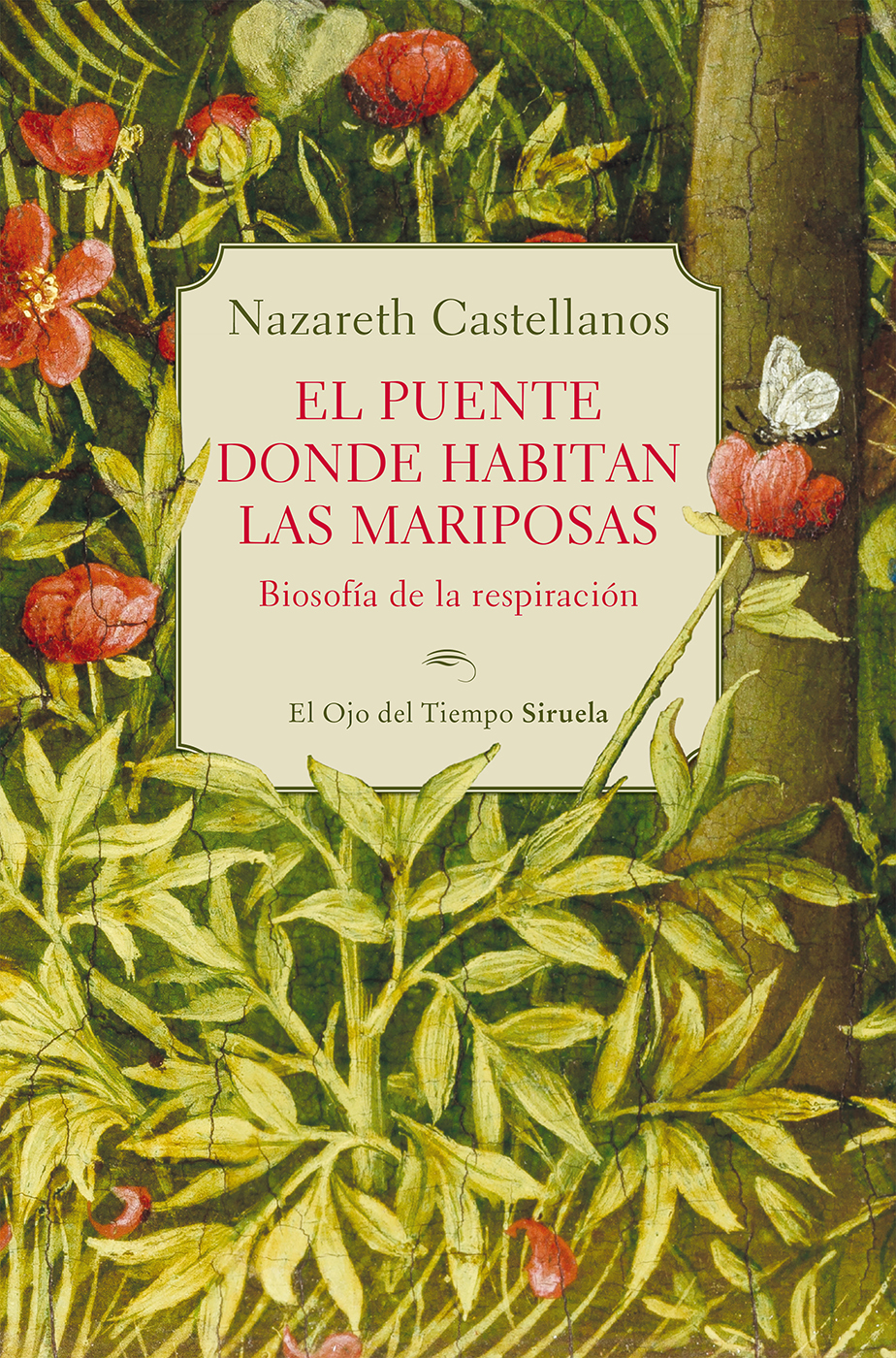 El puente donde habitan las mariposas ebook cover