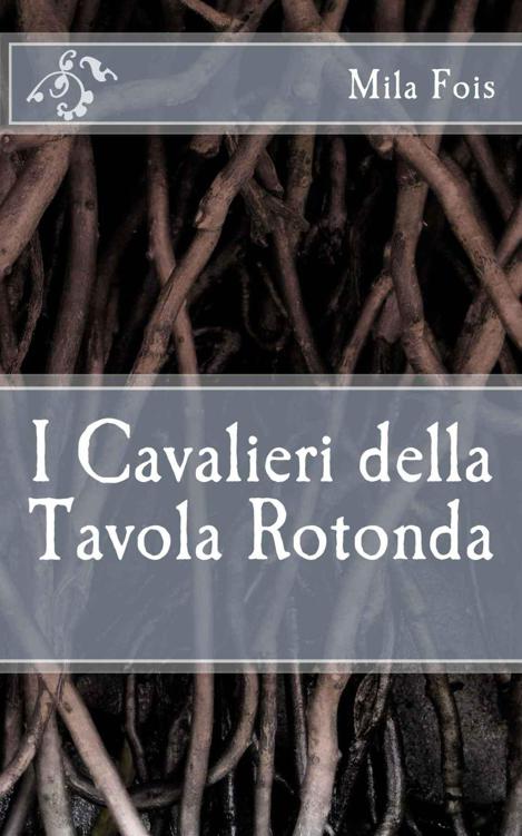 I Cavalieri della Tavola Rotonda (Meet Myths) (Italian Edition) ebook cover