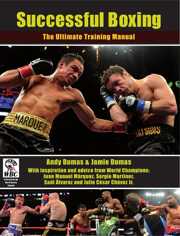 Successful Boxing ebook cover