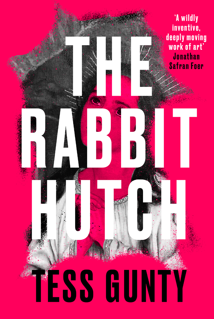 The Rabbit Hutch ebook cover