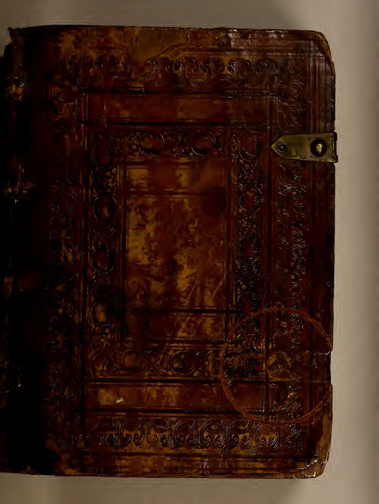 BIBLIA DEL OSO ebook cover