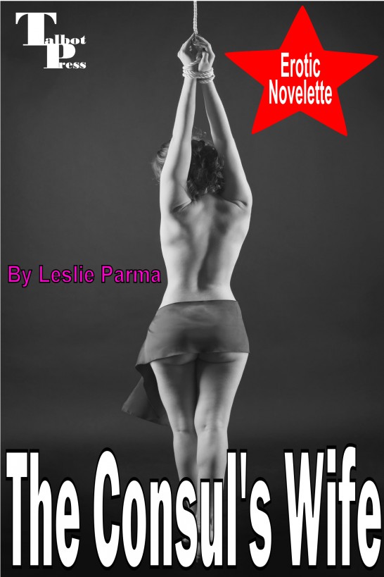 The Consul's Wife ebook cover