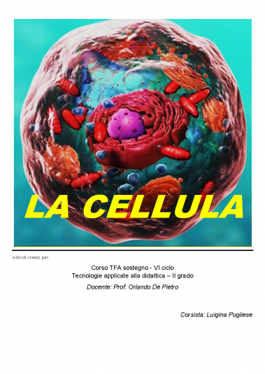 e-Book - Pugliese Luigina ebook cover