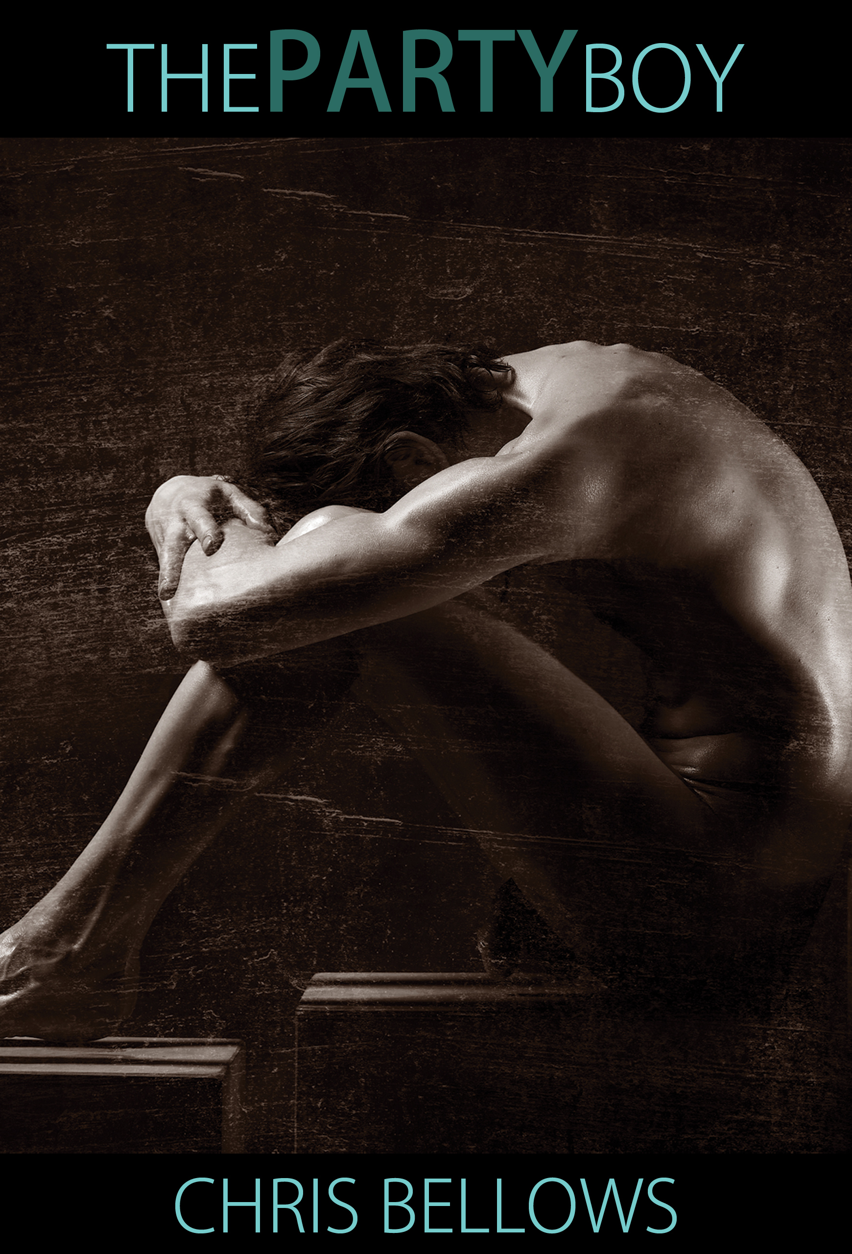 The Party Boy ebook cover