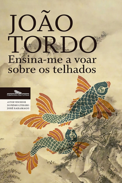 Ensina-me a voar sobre os telhados ebook cover