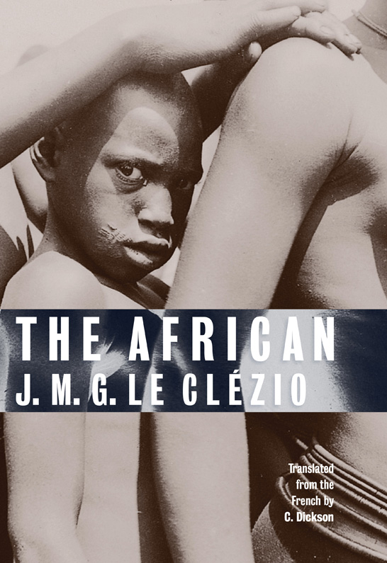 The African ebook cover
