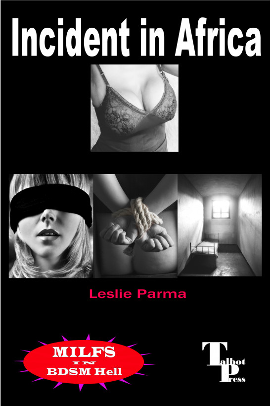 Incident in Africa ebook cover