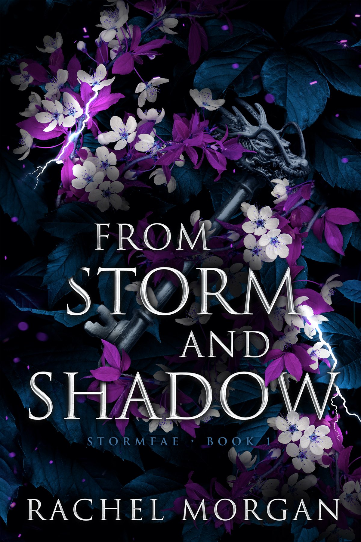 From Storm and Shadow: Stormfae, Book 1 ebook cover