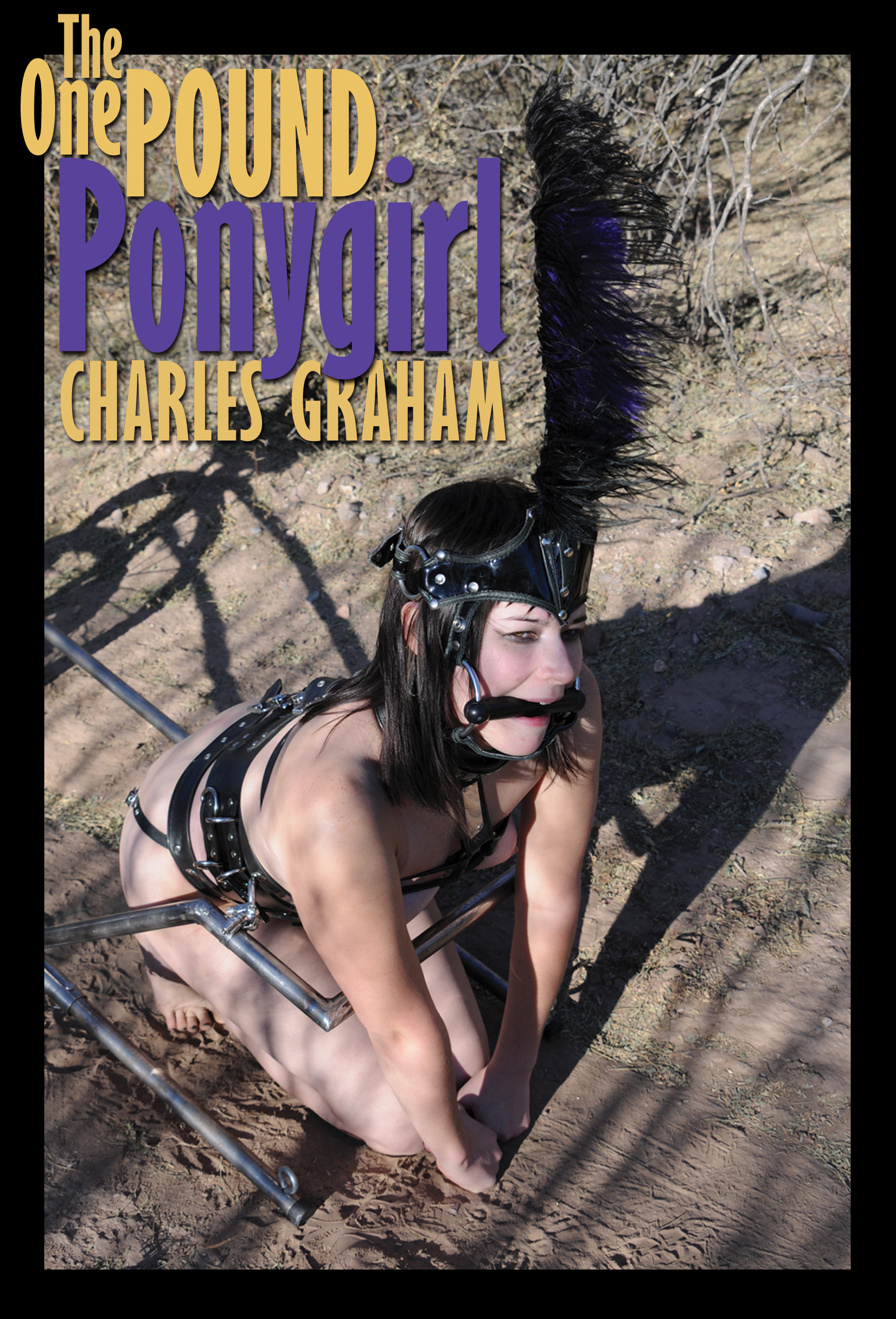 The One Pound Ponygirl ebook cover