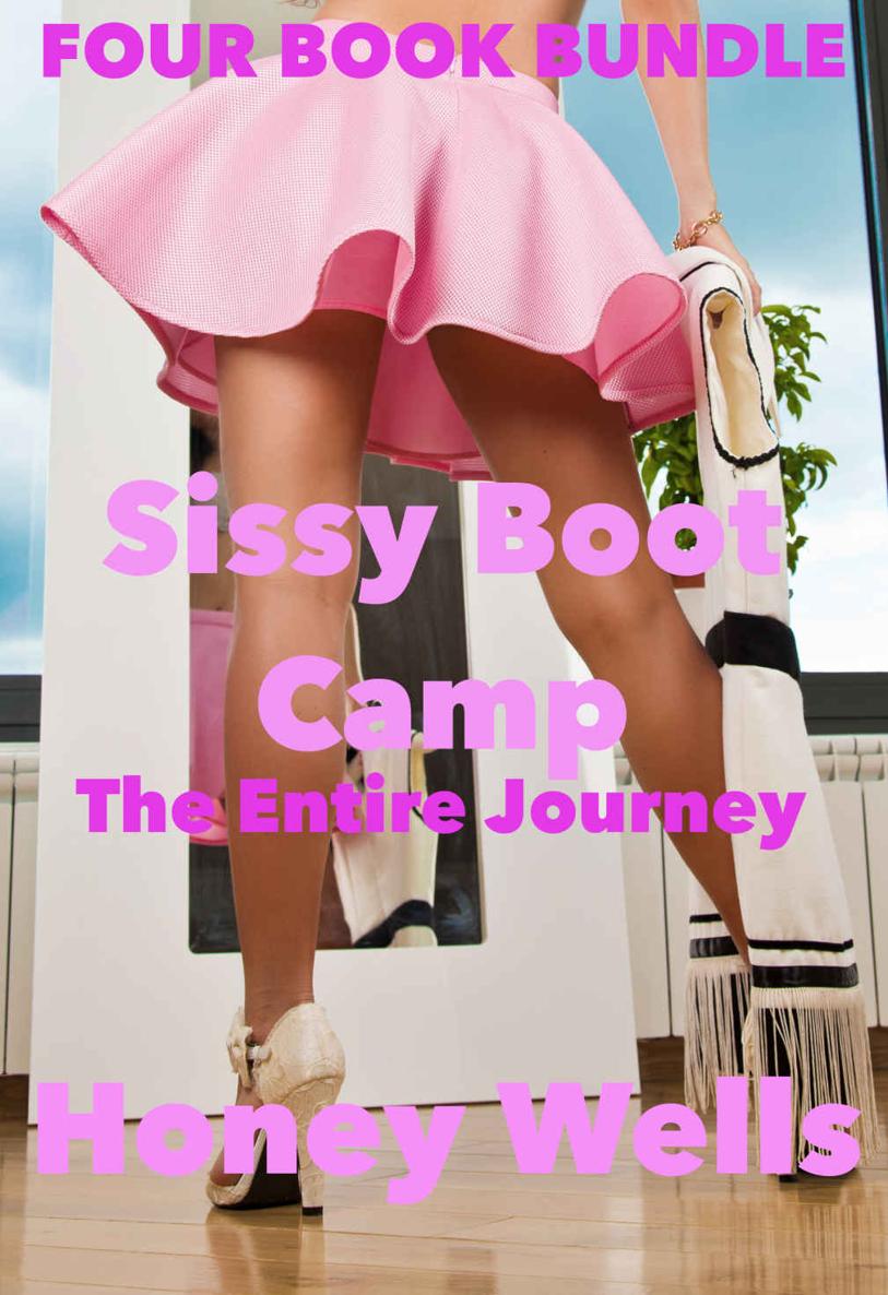 Sissy Boot Camp - The Entire Journey: FOUR BOOK BUNDLE ebook cover