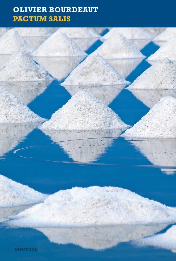 det_Pactum salis (French Edition) ebook cover