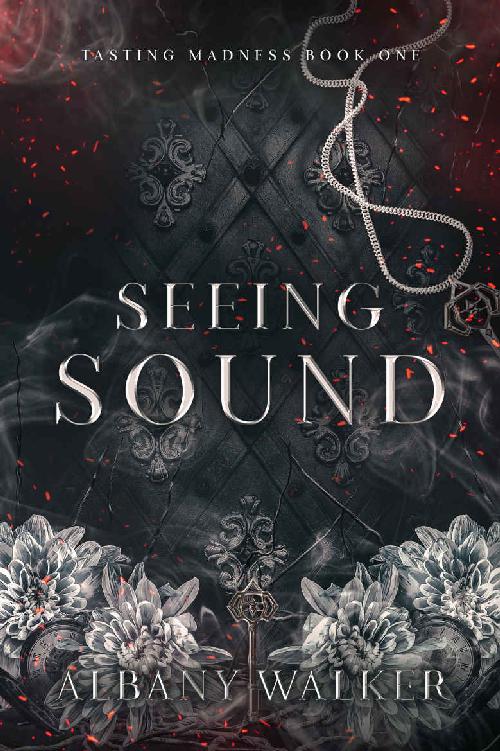 Seeing Sound (Tasting Madness Book 1) ebook cover