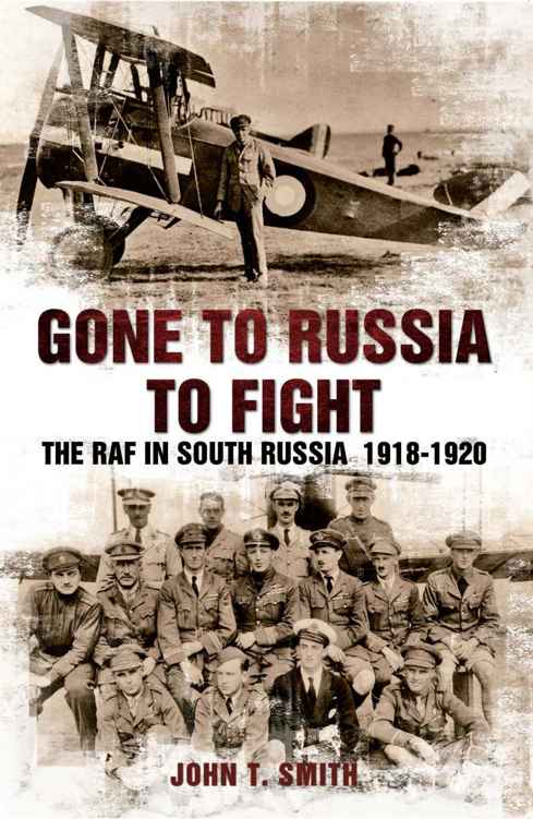 Gone to Russia to Fight: The RAF in South Russia 1918-1920 ebook cover