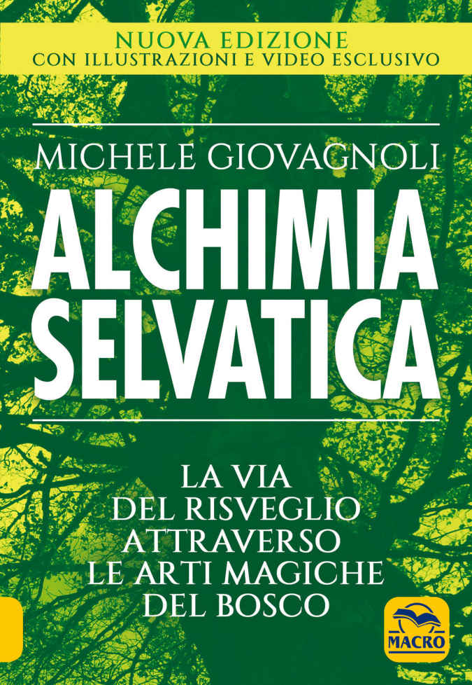 Alchimia Selvatica: La via del risveglio attraverso le arti magiche del bosco (Italian Edition) ebook cover