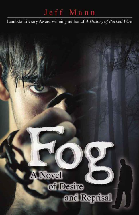 Fog A Novel of Desire and Reprisal ebook cover