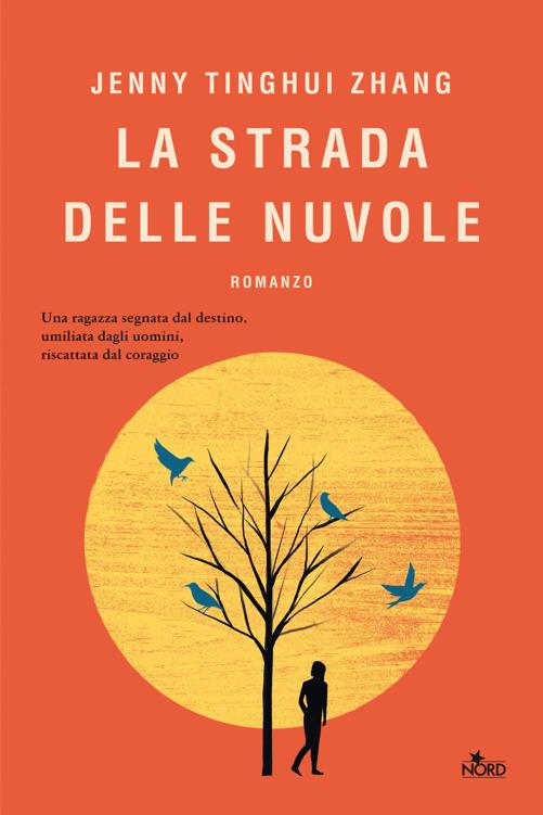 La strada delle nuvole ebook cover