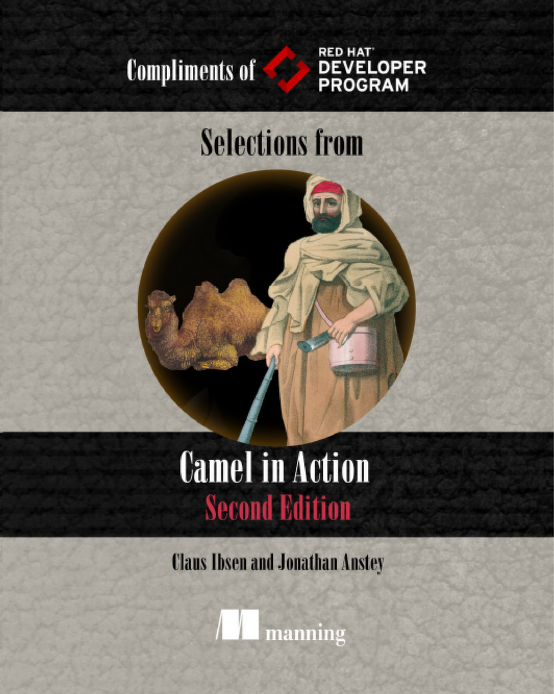 Selections from Camel in Action, 2nd Edition ebook cover