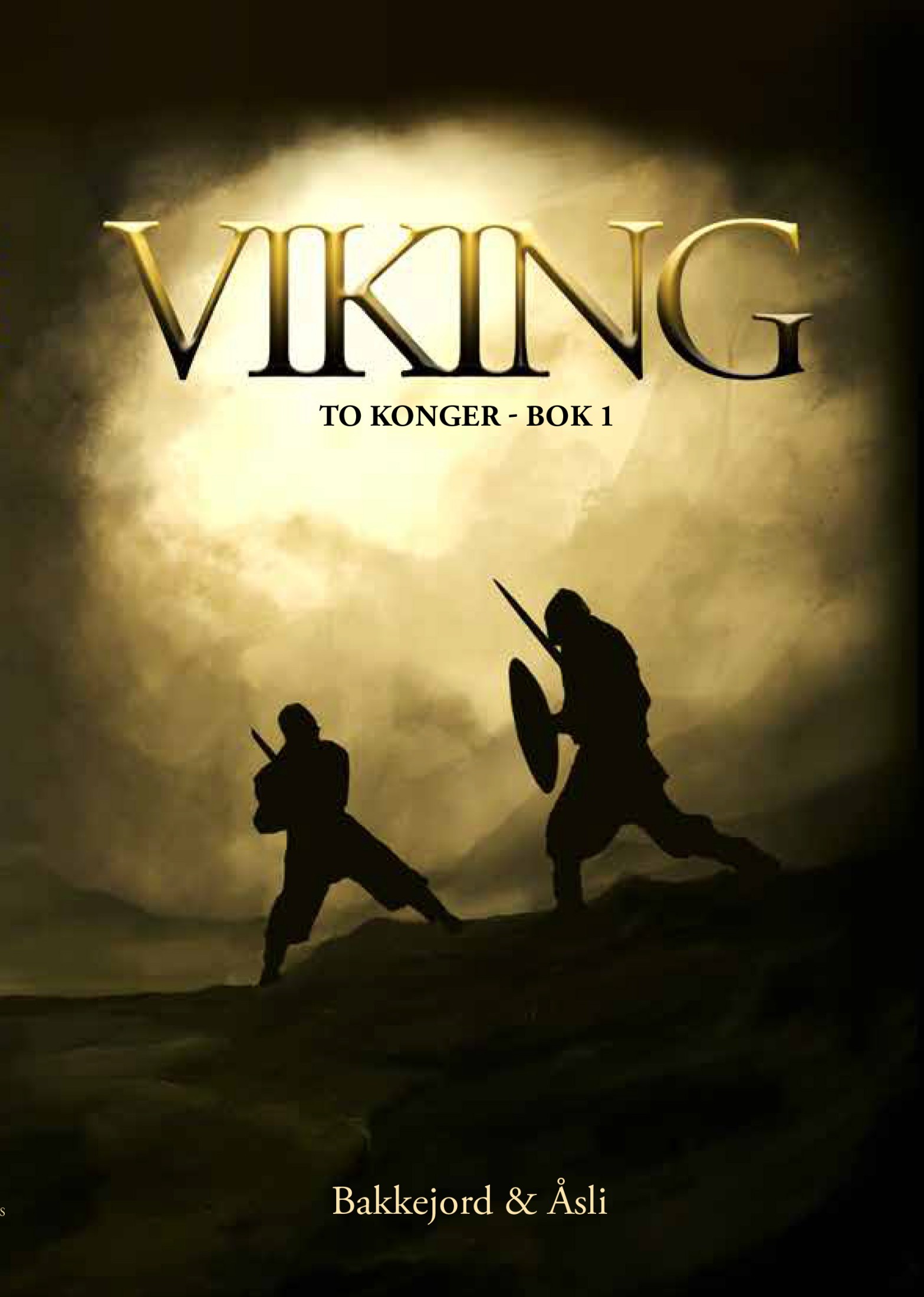 Viking ebook cover