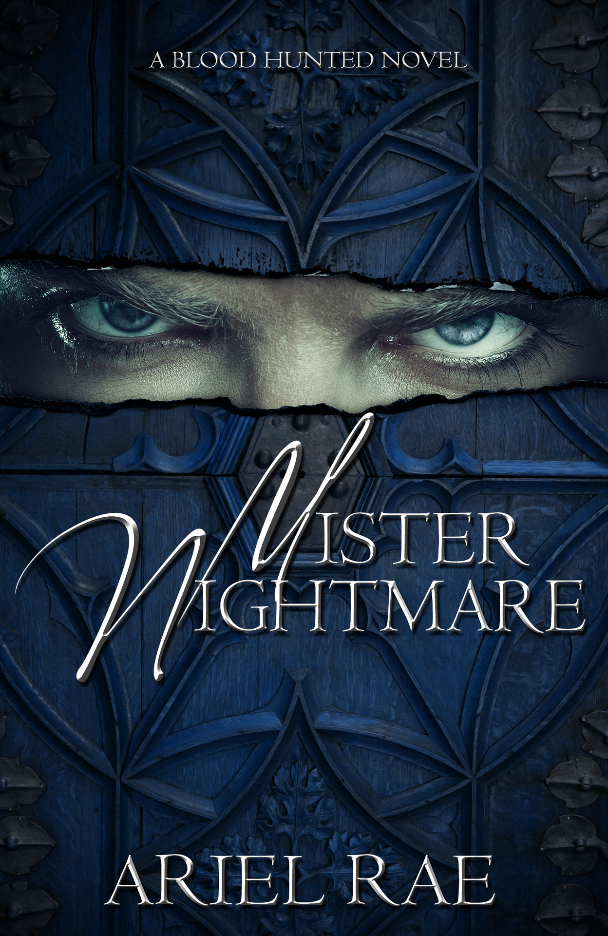 Mister Nightmare (Blood Hunted) ebook cover