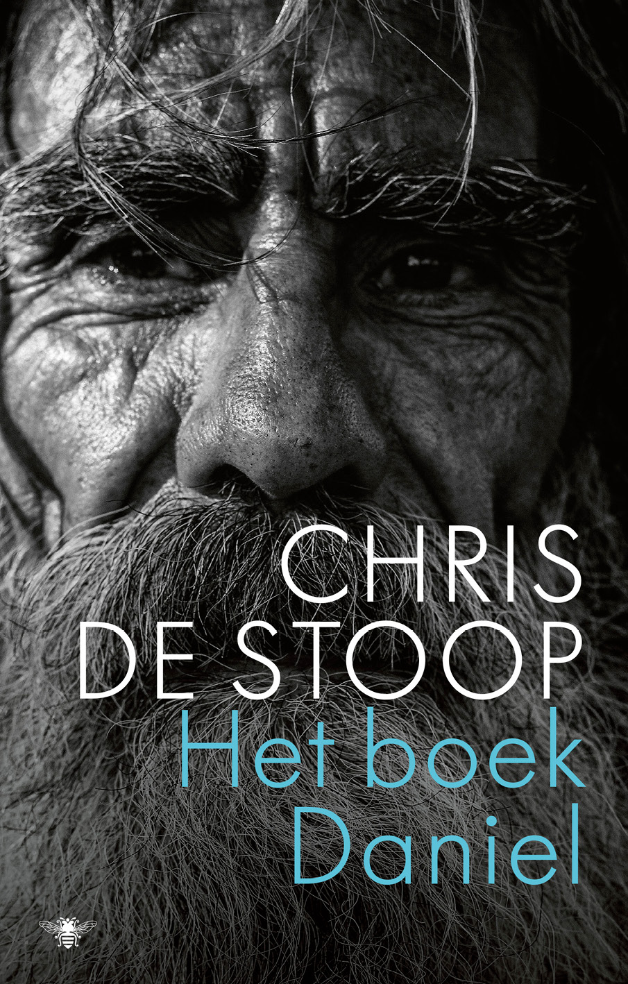 Het boek Daniel ebook cover