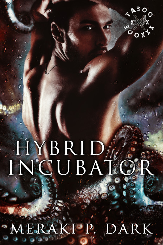 Hybrid Incubator ebook cover