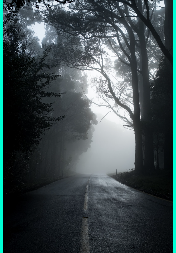 Google Company ebook cover