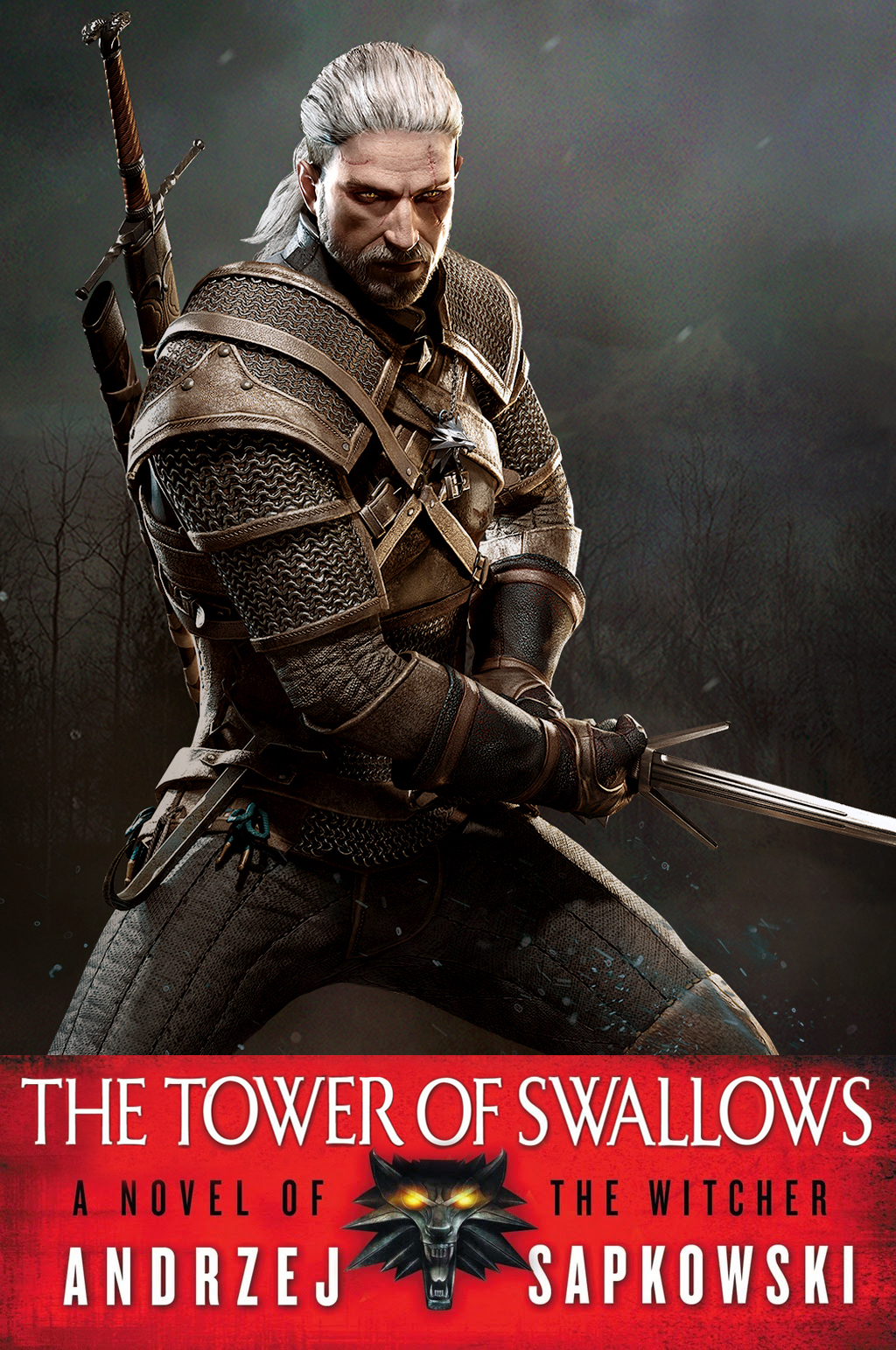 The Tower of Swallows ebook cover