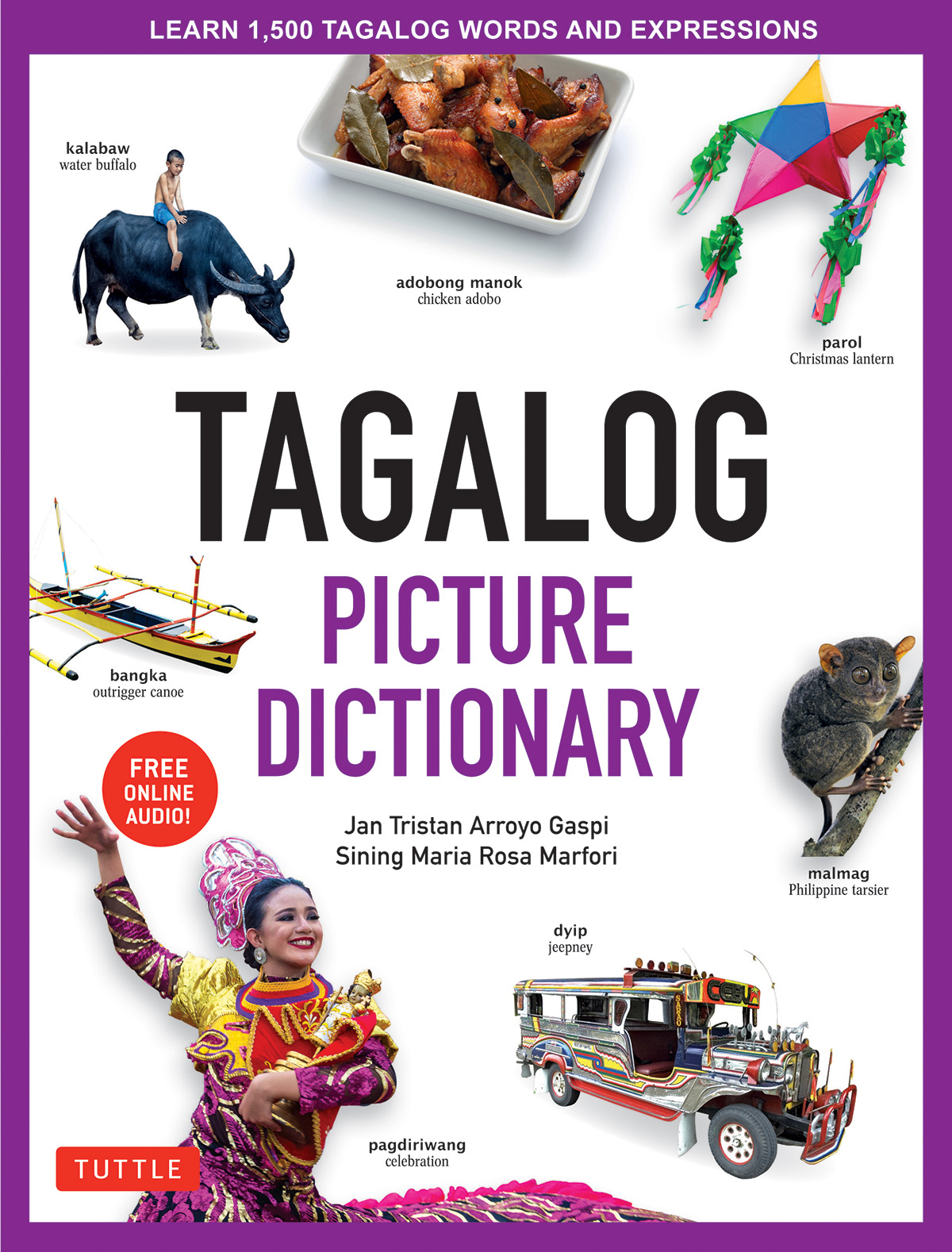 Tagalog Picture Dictionary ebook cover