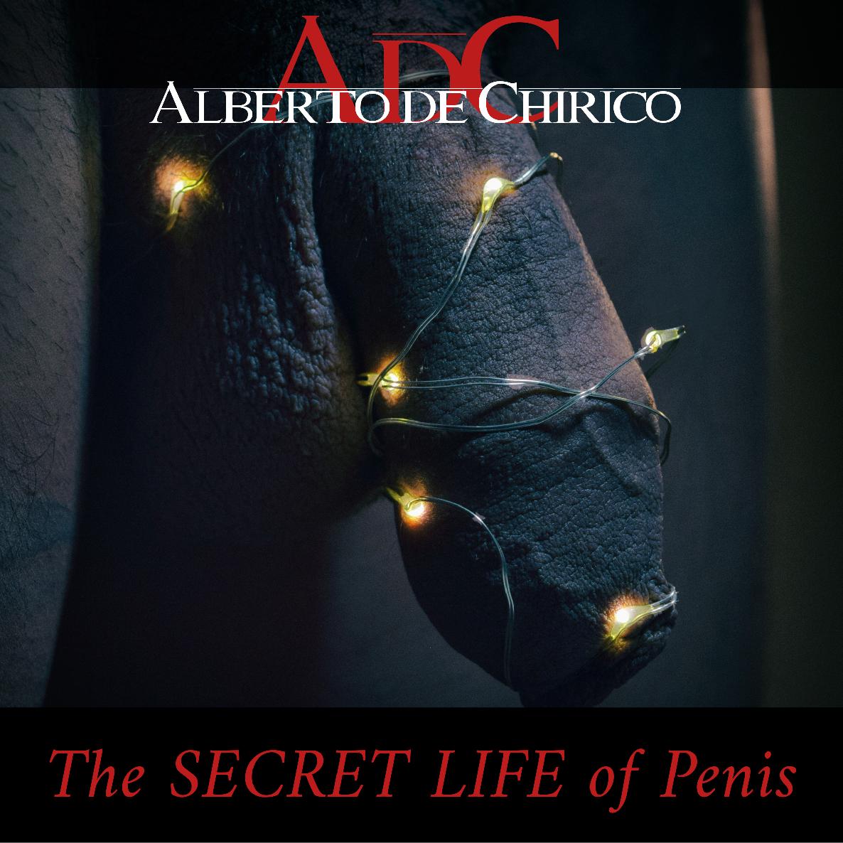 The Secret Life of Penis - Ebook ebook cover