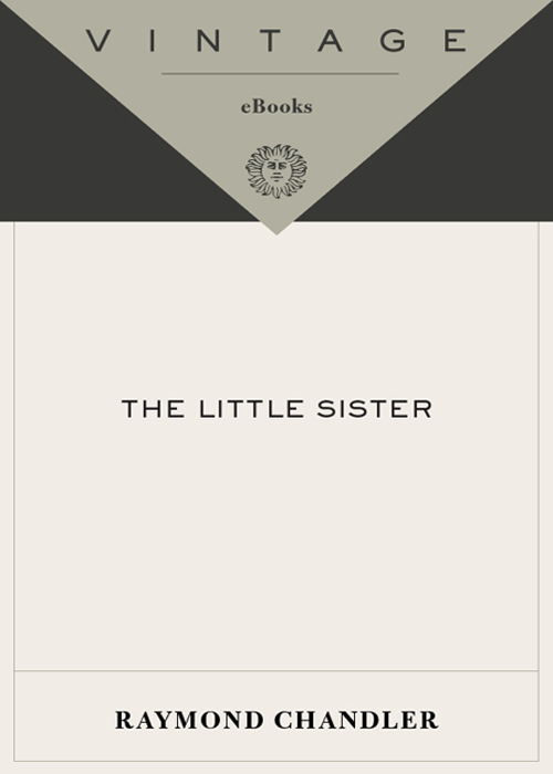 The Little Sister ebook cover