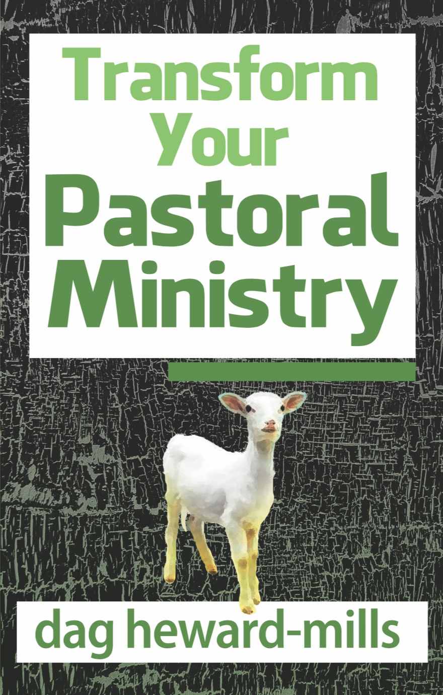 Transform Your Pastoral Ministry ebook cover