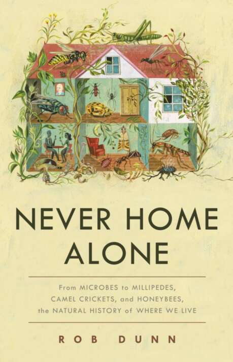 Never Home Alone ebook cover