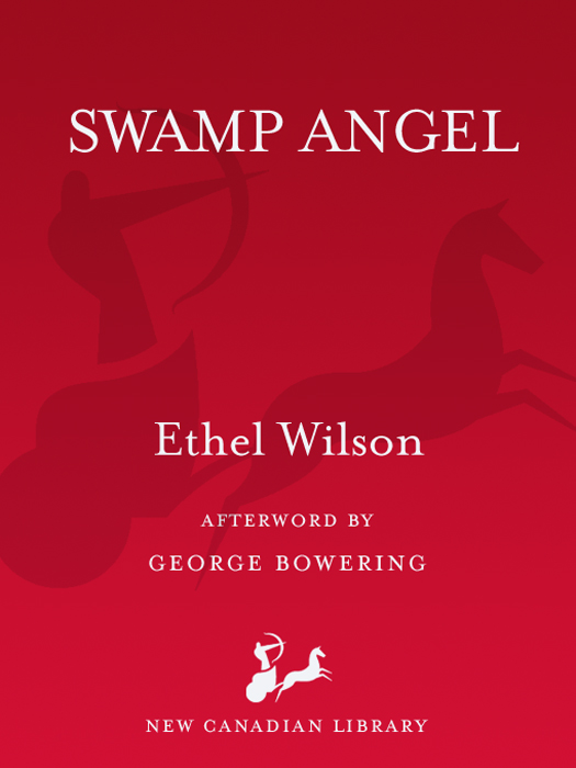Swamp Angel ebook cover
