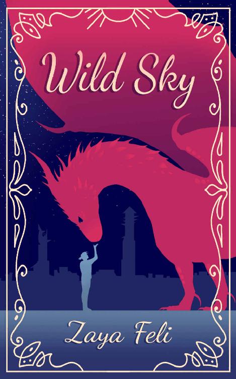 Wild Sky ebook cover