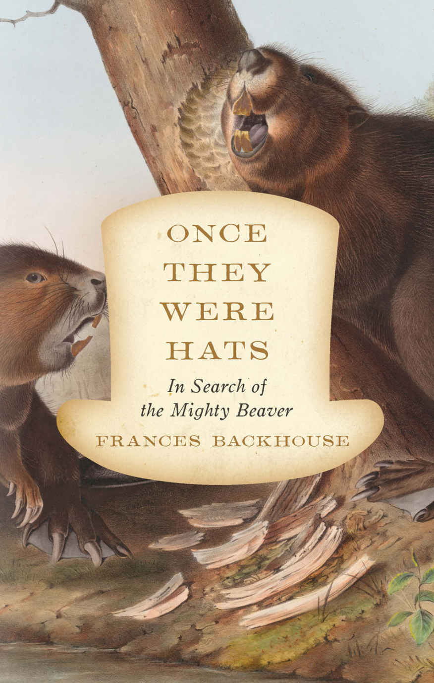 Once They Were Hats: In Search of the Mighty Beaver ebook cover