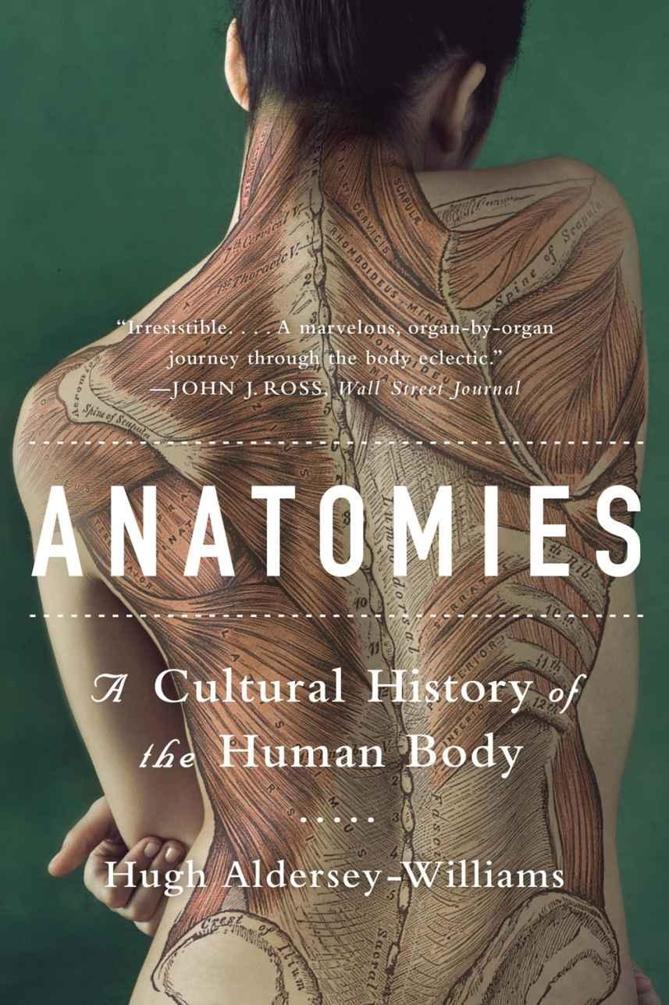 Anatomies: A Cultural History of the Human Body ebook cover
