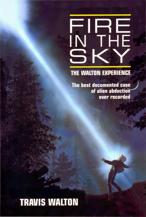 Fire in the Sky ebook cover