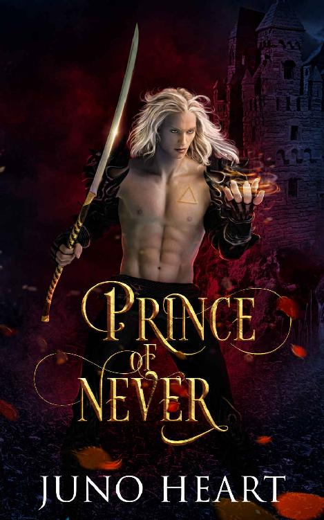 Prince of Never: A Fae Romance (Black Blood Fae Book 1) ebook cover