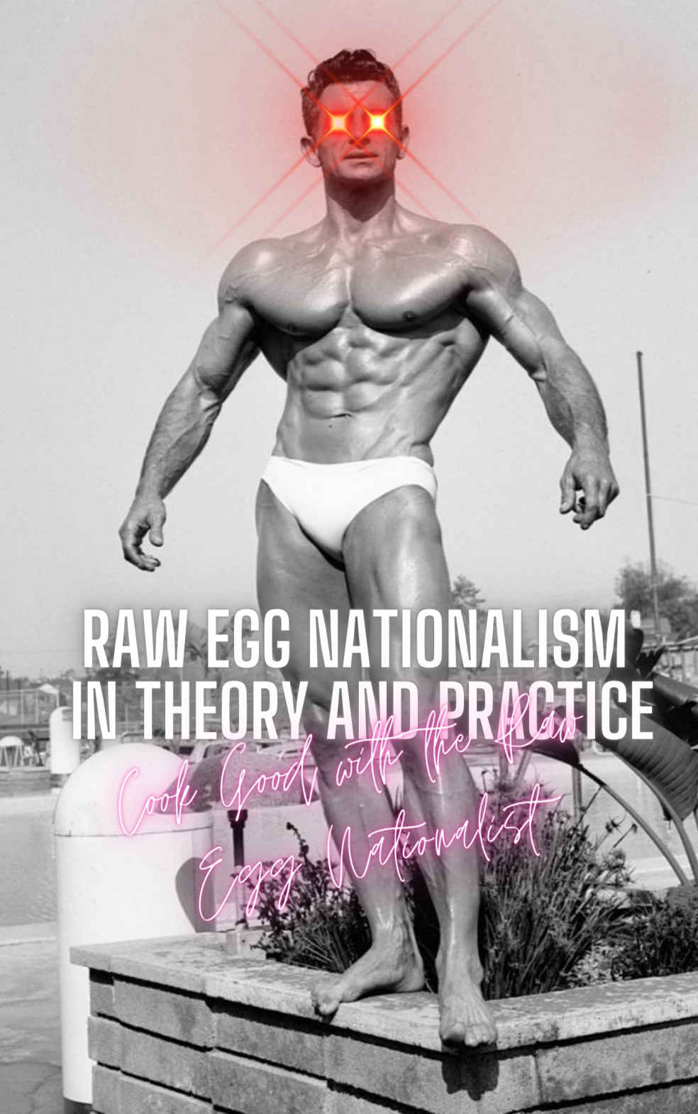 Raw Egg Nationalism in Theory and Practice ebook cover