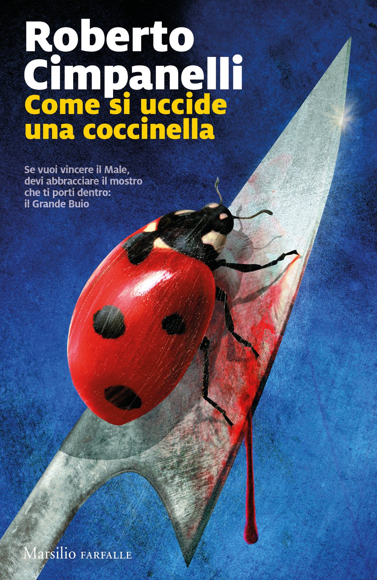 Come si uccide una coccinella ebook cover