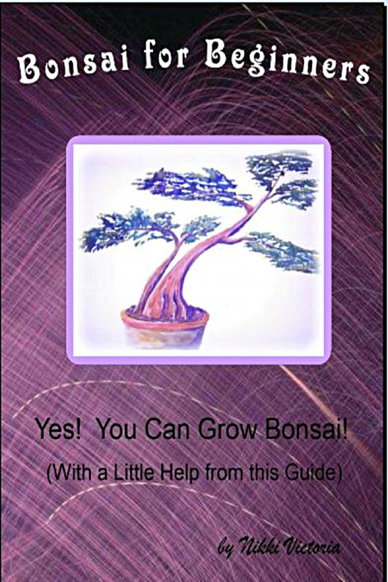 Bonsai for Beginners ebook cover