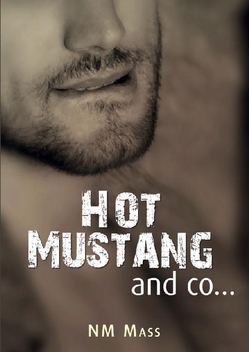 Hot Mustang and co&acirc;&euro;&brvbar;-T1-Dantikos & Anth&Atilde;&copy;as ebook cover