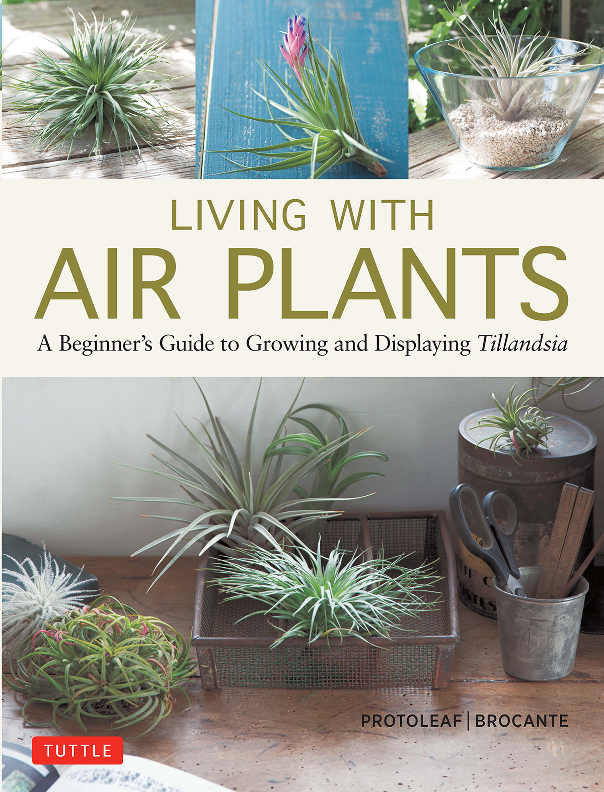 Living with Air Plants ebook cover