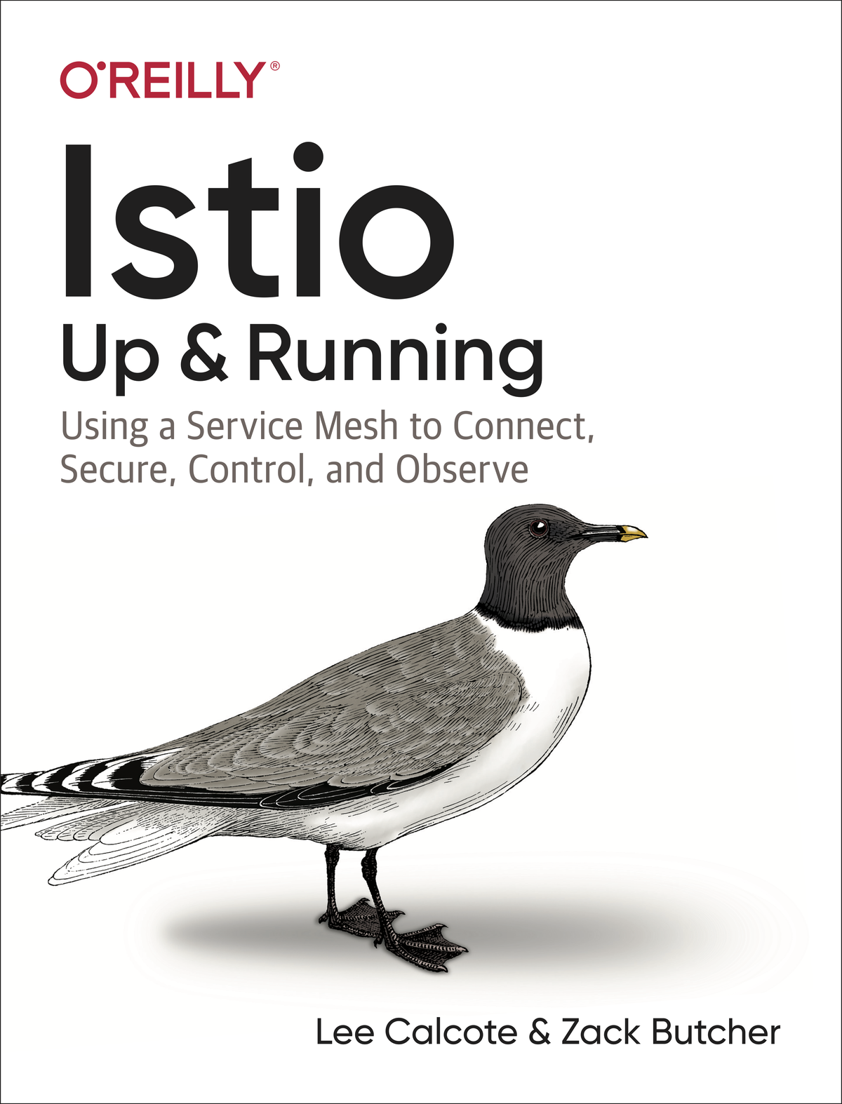 Istio ebook cover