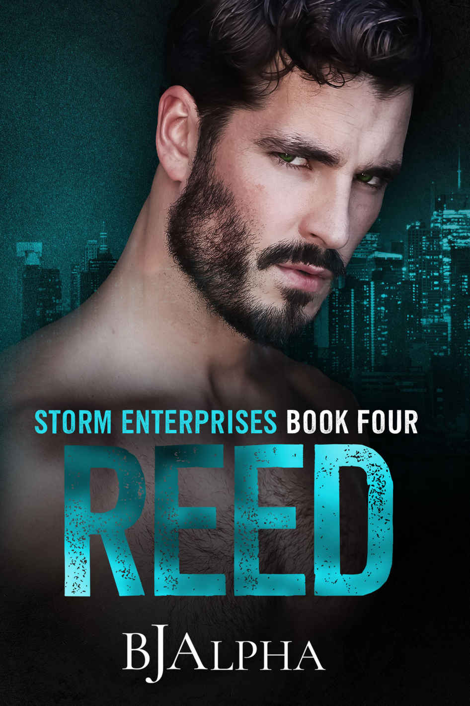 REED: STORM ENTERPRISES BOOK 4 ebook cover