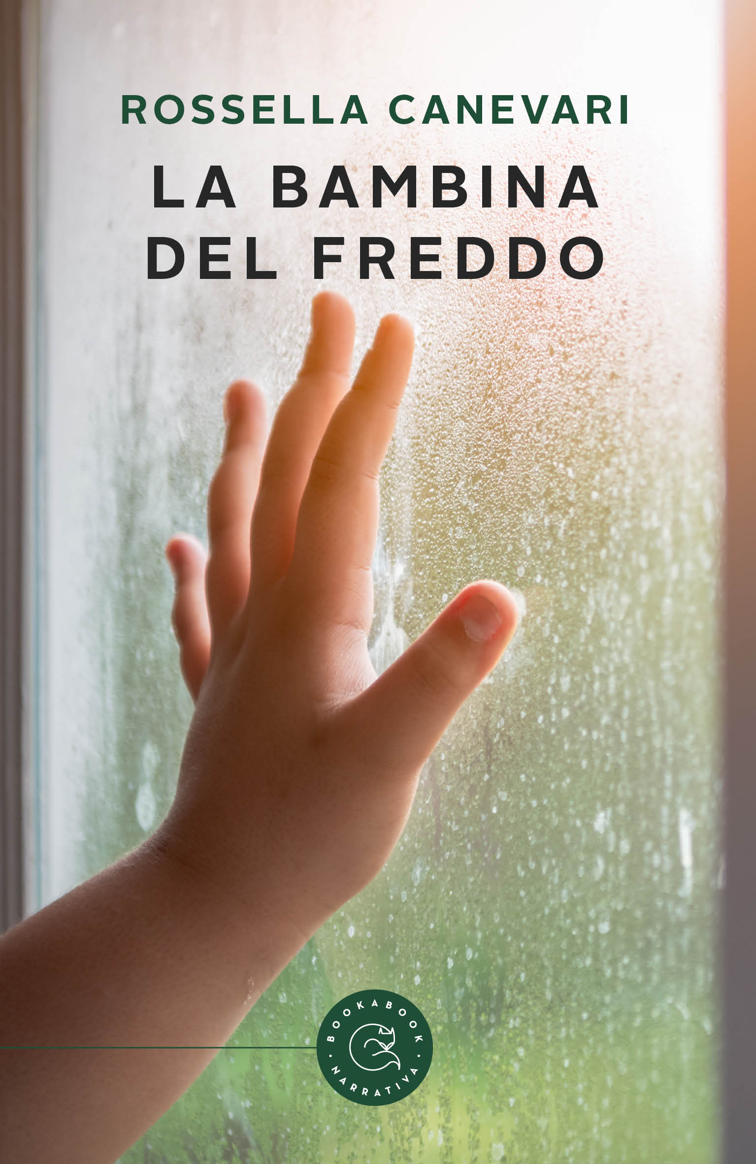 La bambina del freddo ebook cover