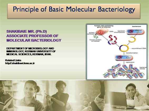 PRINCIPLE OF BASIC MOLECULAR BACTERIOLOGY (Introduction to molecular biology Book 1) ebook cover