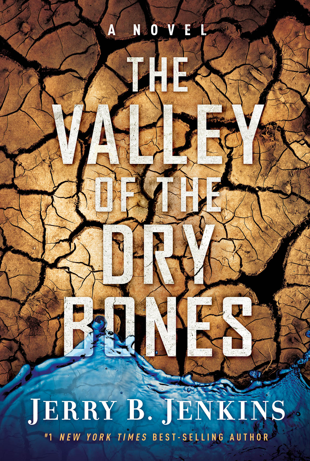The Valley of Dry Bones ebook cover