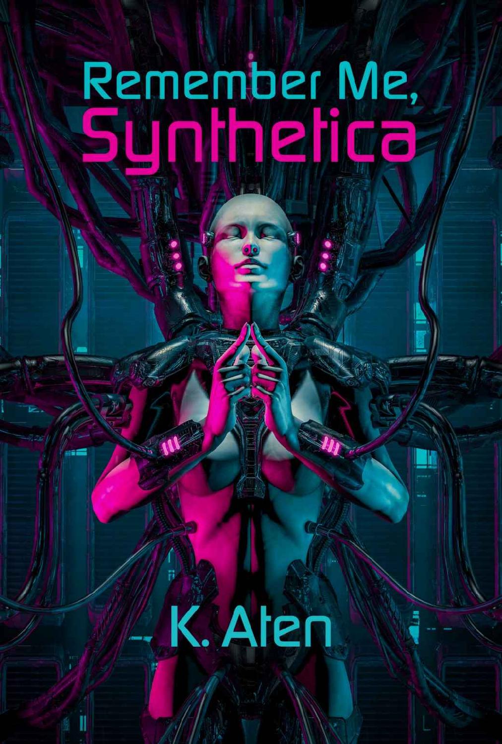 Remember Me, Synthetica ebook cover