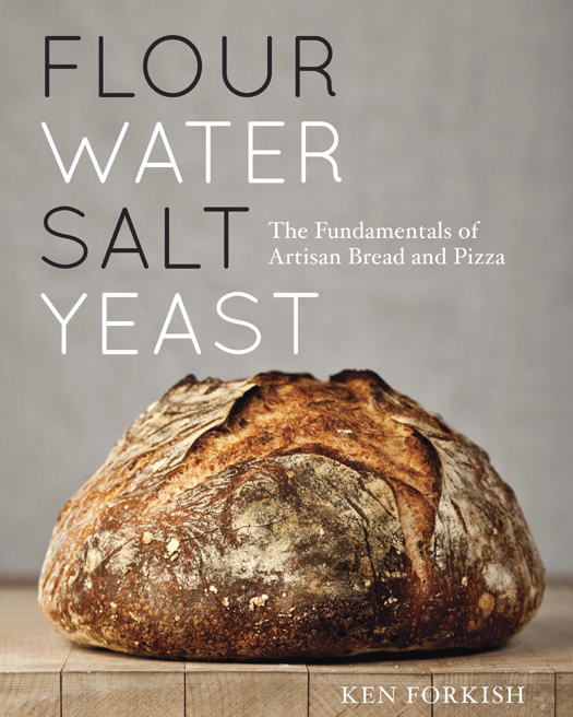 Flour Water Salt Yeast ebook cover